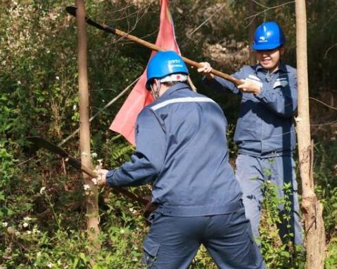 廣西平南供電局組織媒體看電網