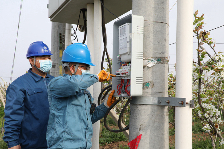 國網(wǎng)諸城市供電公司電力足，千畝梨園花正濃