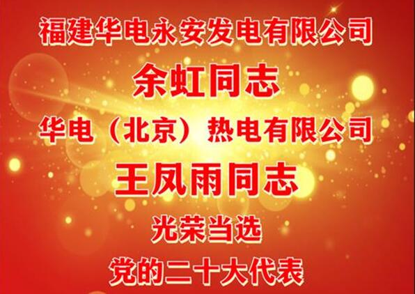 中國(guó)華電余虹、王鳳雨同志當(dāng)選黨的二十大代表