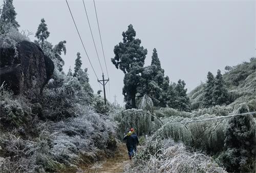 國(guó)網(wǎng)壽寧縣供電公司寒潮特巡嚴(yán)防線路覆冰