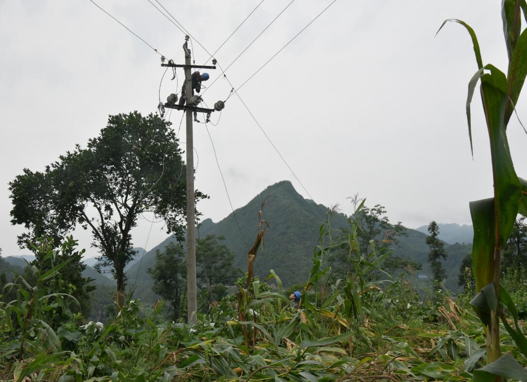 貴州德江供電局雨后搶修保供電 保民生