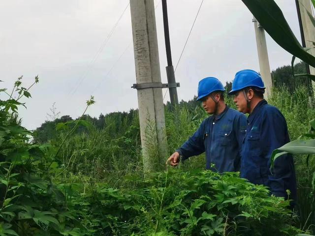 國網(wǎng)長春供電公司積極應對極端天氣，確保線路設備穩(wěn)定運行