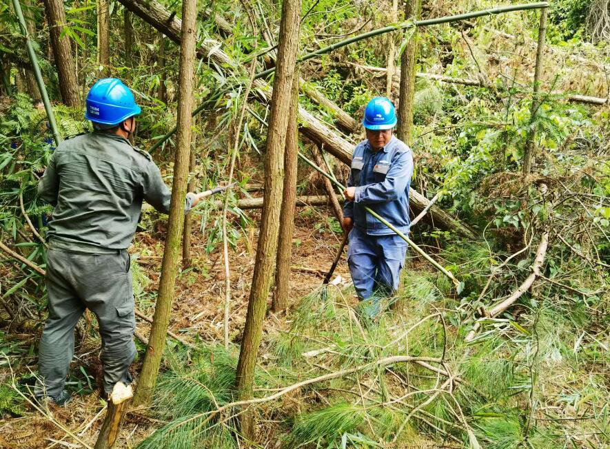 南方電網(wǎng)荔波供電局線路憂患如“猛獸”，通道清通要爭先