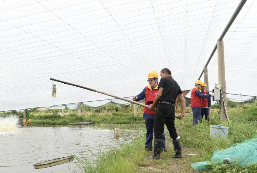 國網余姚市供電公司：優(yōu)質服務電滿格 水產養(yǎng)殖信心足