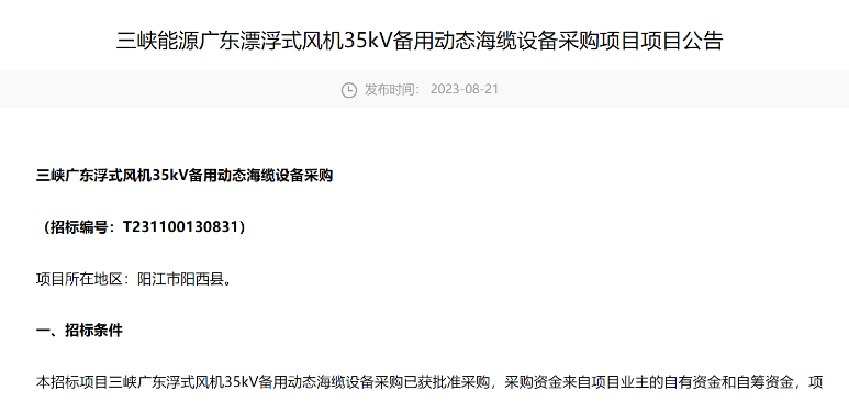 三峽能源廣東漂浮式風(fēng)機35kV備用動態(tài)海纜設(shè)備采購招標(biāo)