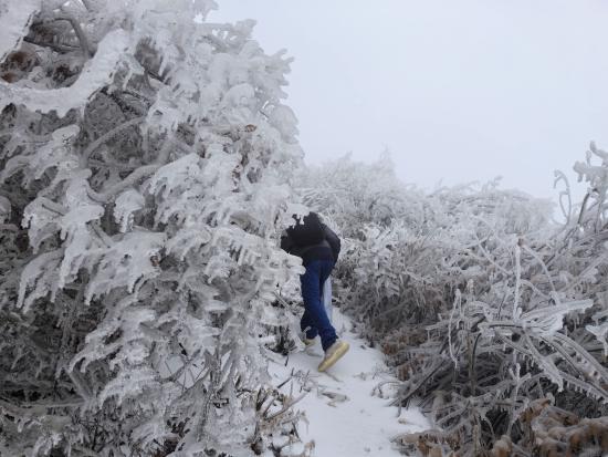 【新春走基層】迎雪而上攻堅行，奮戰(zhàn)不息護(hù)光明