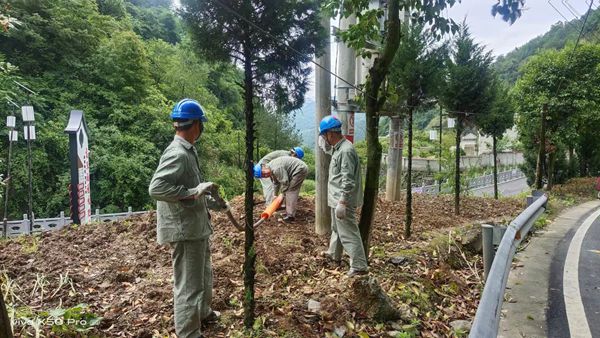 湖北竹溪供電公司著力開展“清風(fēng)為民助服務(wù)”活動