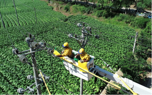 國網(wǎng)松溪縣供電公司“帶電+保電”升級(jí)改造電網(wǎng)