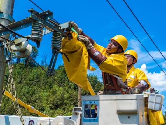 國網順昌縣供電公司戰(zhàn)高溫 帶電安裝開關